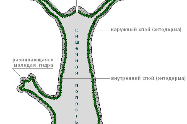 Официальное ссылка омг омг